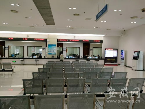 虎年開工首日探訪 安徽省政務(wù)服務(wù)中心窗口人員堅(jiān)守崗位，熱情服務(wù)暖人心